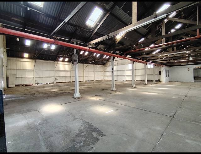 1,300M² WAREHOUSE TO LET IN DRIEHOEK